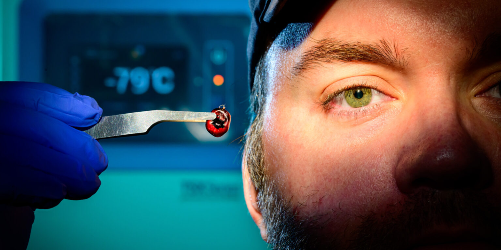 Man holds lone star tick next to his face, only his right eye lit.