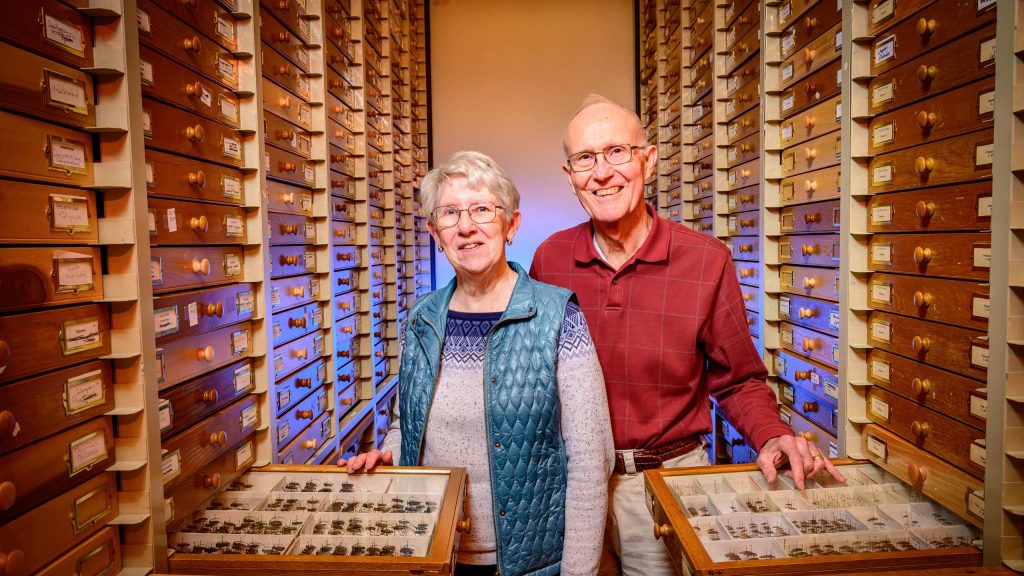 Woman and man stand between two rows of insect drawers.